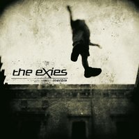 Calm & Collapsed - The Exies