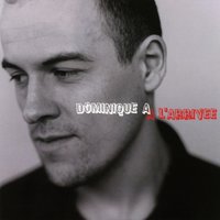 Le Courage Des Oiseaux - Dominique A