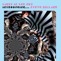 Palm Trees (Love Guitar) - Steve Hillage