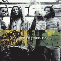 Look Who's Dancin' - Ziggy Marley And The Melody Makers