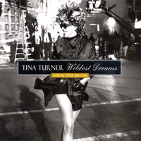 Unfinished Sympathy - Tina Turner