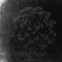 Transition - Bayharbour
