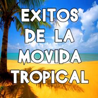 Bailan Rochas y Chetas - Nene Malo