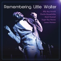 Just a Feeling - Charlie Musselwhite