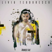 În brațele tale - Liviu Teodorescu