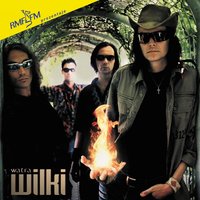 Slonce Pokonal Cien - Wilki