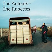 Breaking Up - The Auteurs