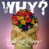 Into the Shadows Of My Embrace - WHY?