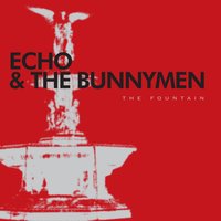 Proxy - Echo & the Bunnymen