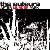 Married To A Lazy Lover - The Auteurs