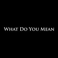 What Do You Mean - Collin Mcloughlin