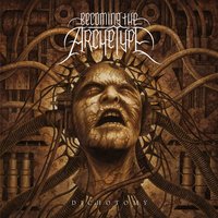 End Of The Age - Becoming The Archetype