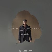 Târziu - Liviu Teodorescu