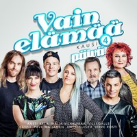 Pojat (Vain elämää kausi 4) - Antti Tuisku