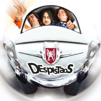 Una rosa es una rosa - Despistaos