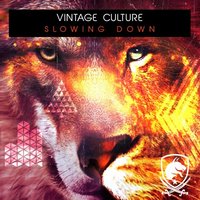 Slowing Down - Vintage Culture
