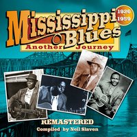 Signifying Blues - Sam Collins