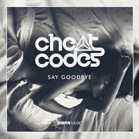 Say Goodbye - Cheat Codes