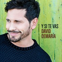 Y si te vas - David DeMaria