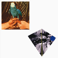 Roma Fade - Andrew Bird