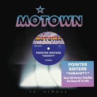 Insanity - The Pointer Sisters, Steve "Silk" Hurley