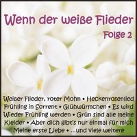 Ich möchte auf deiner Hochzeit tanzen - Bibi Johns, Paul Kuhn