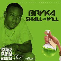Shall & I Will - Bryka