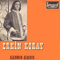 Belki Bir Gün Anlarsın - Erkin Koray