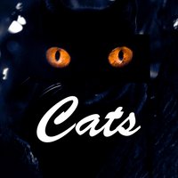 Mr. Mistoffelees - Paul Jones