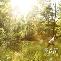 The Distance - Peasant
