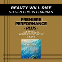 Beauty Will Rise - Steven Curtis Chapman