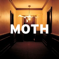 Burning Down My Sanity - Moth