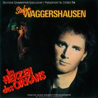Weil du die Liebe liebst - Stefan Waggershausen