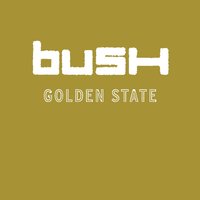 Headful of Ghosts - Bush