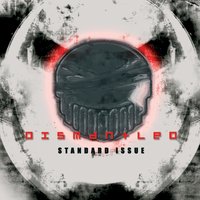 Standard Issue - Dismantled