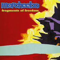 Shallow End - Morcheeba