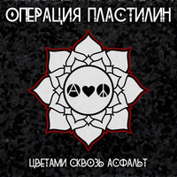 Цветами сквозь асфальт - Операция Пластилин