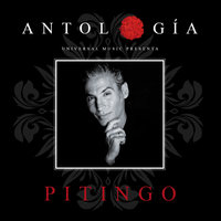 Yo No Te He Dado Motivos - Pitingo