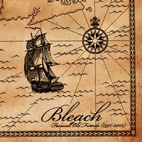 Write It Down - Bleach