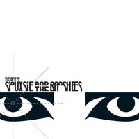 Siouxsie And The Banshees