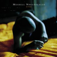 Grace - Meshell Ndegeocello