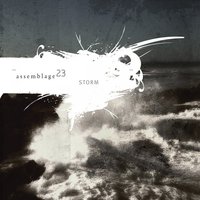 Complacent - Assemblage 23