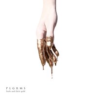 Fools and Their Gold - PLGRMS