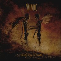 Simple Skeletons - VIMIC