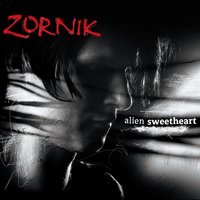 Hate/Like - Zornik