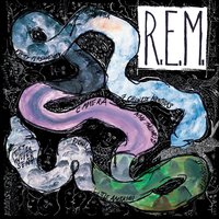 Little America - R.E.M.
