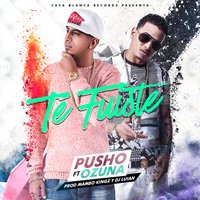 Te Fuistes - Ozuna, Pusho