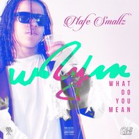 What Do You Mean - Nafe Smallz