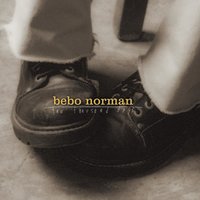 Selwood Farm - Bebo Norman