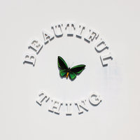 Beautiful Thing - The Stone Roses
